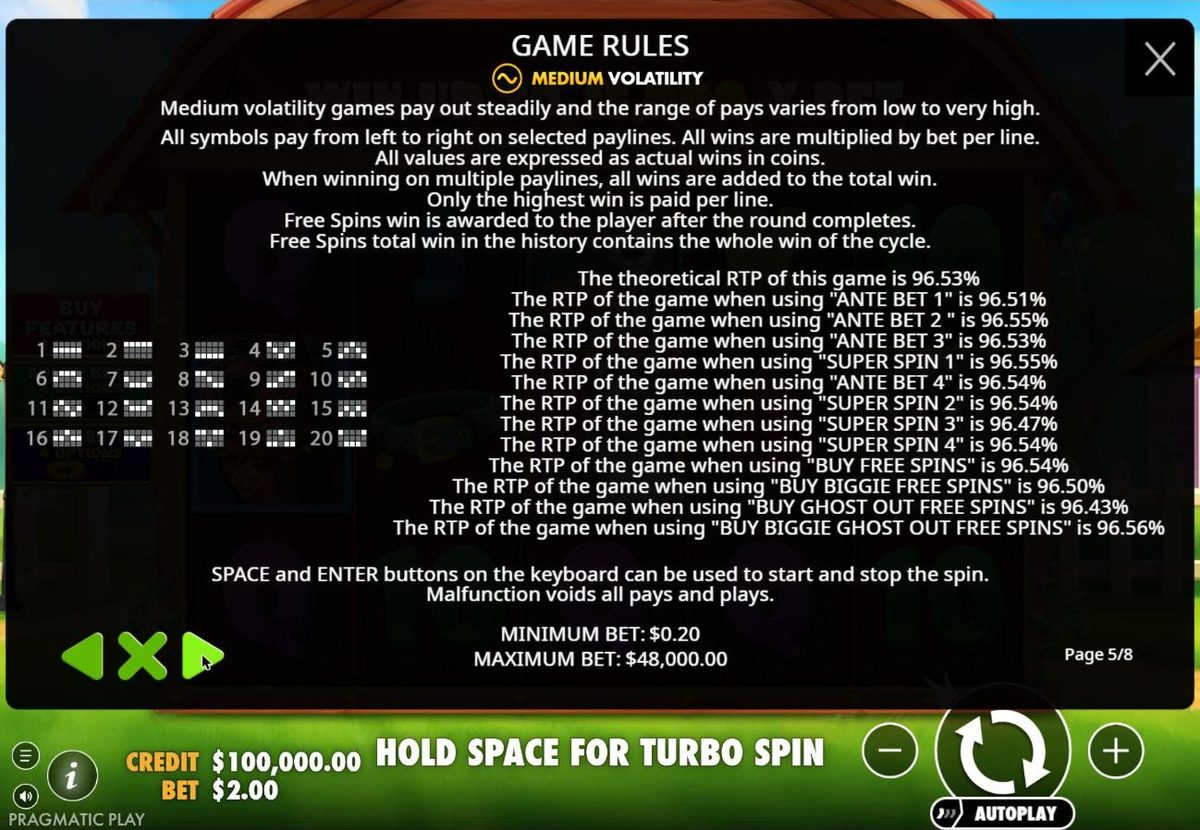 The Big Dog House rules page 5: medium volatility and thirteen RTP lines, from 96.53 percent for the base game to separate figures for each ante bet, super spin and buy.