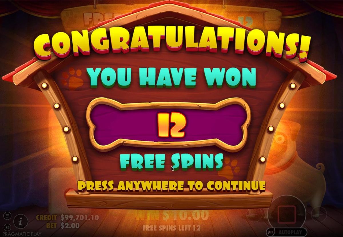 Congratulations, you have won 12 free spins, on a red stage sign framed with marquee lights.
