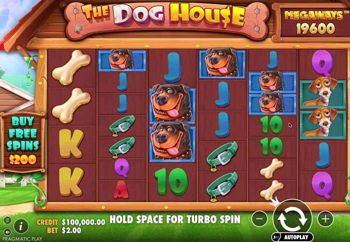 Base game: six reels of different heights with Rottweilers, bones, collars and card symbols, a Megaways counter showing 19600 ways and a Buy free spins $200 sign on the left.