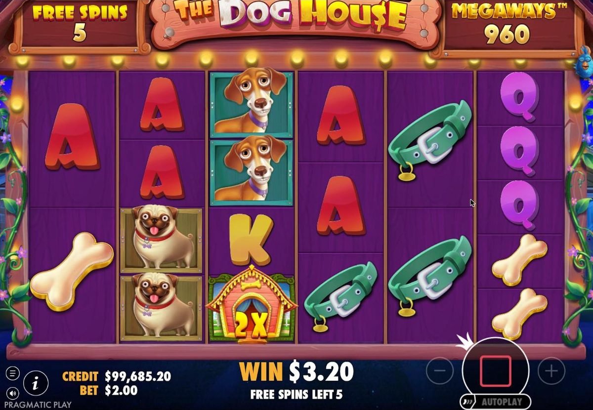 Raining Wilds free spins: a single 2x wild on reel 3 among aces, Pugs and collars, 960 Megaways, a $3.20 win and 5 free spins left.
