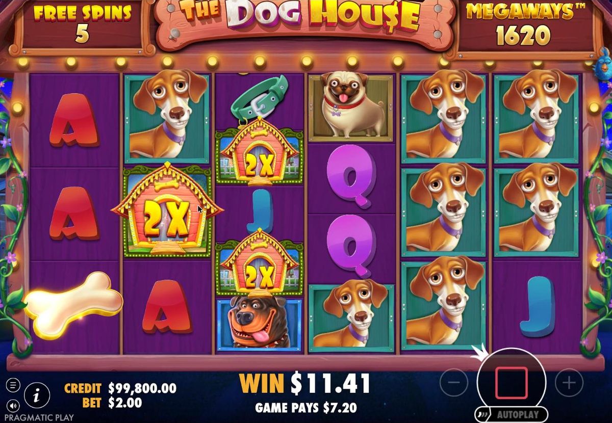 Sticky Wilds free spins: a tall 2x wild on reel 2 and two 2x wilds on reel 3 among Dachshunds, with 1620 Megaways and 5 free spins left.