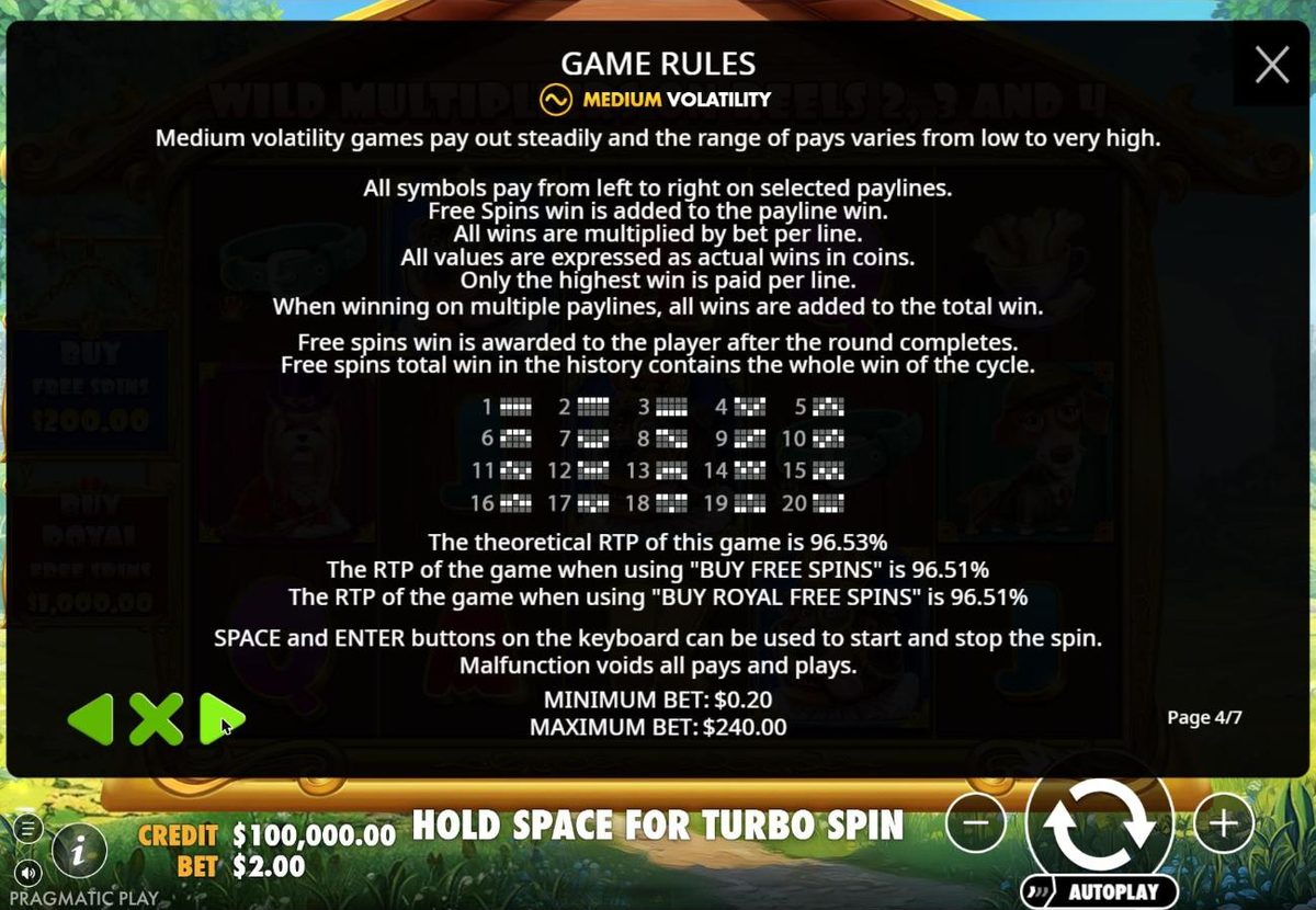 Rules page 4: medium volatility, 20 paylines, a theoretical RTP of 96.53 percent, 96.51 percent with Buy free spins and with Buy Royal free spins, a minimum bet of $0.20 and a maximum of $240.