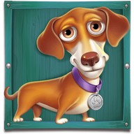 Dachshund