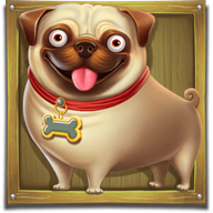 Pug