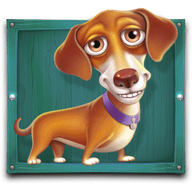 Dachshund