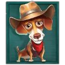 Cowboy Dachshund