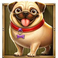 Pug