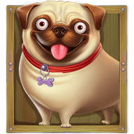 Pug