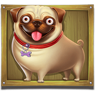 Pug