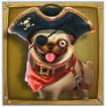 Pug with an eyepatch