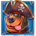 Rottweiler pirate captain