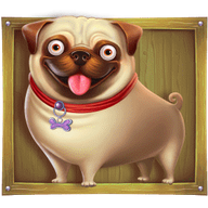 Pug