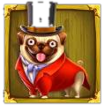 Pug in a top hat