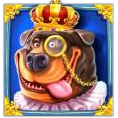 King Rottweiler with crown and monocle