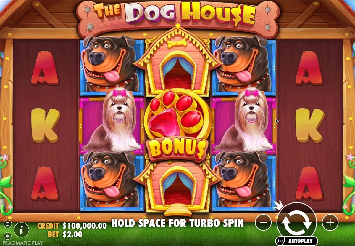 The Dog House demo: Rottweilers and Shih Tzus on reels 2 and 4, a Bonus paw between two dog house wilds on reel 3, card symbols on reels 1 and 5, a credit of $100,000.00 and a bet of $2.00.
