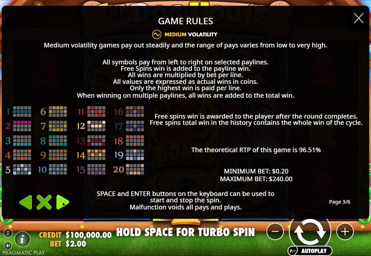 Rules page 3: medium volatility, 20 paylines shown as small diagrams, a theoretical RTP of 96.51 percent, a minimum bet of $0.20 and a maximum bet of $240.
